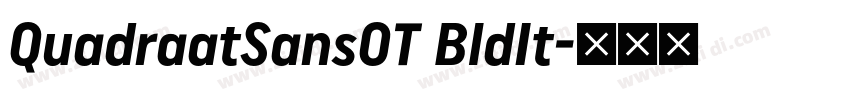 QuadraatSansOT BldIt字体转换
